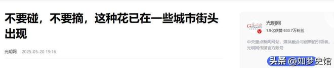 拉米苏里放“夹竹桃”商家已被立案九游会200多人发烧住院后续：提(图17)