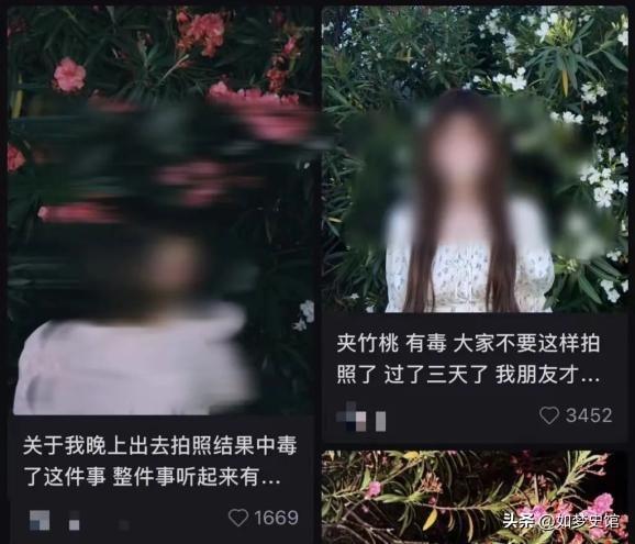 拉米苏里放“夹竹桃”商家已被立案九游会200多人发烧住院后续：提(图19)